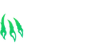 Wild.io Casino 10 – 200 Free Spins