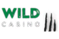 Wild Casino $20000 Tournament